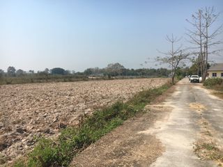 ขาย ที่ดิน ใน สันทราย, เชียงใหม่