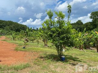 For sale land in Wiang Chiang Rung, Chiang Rai