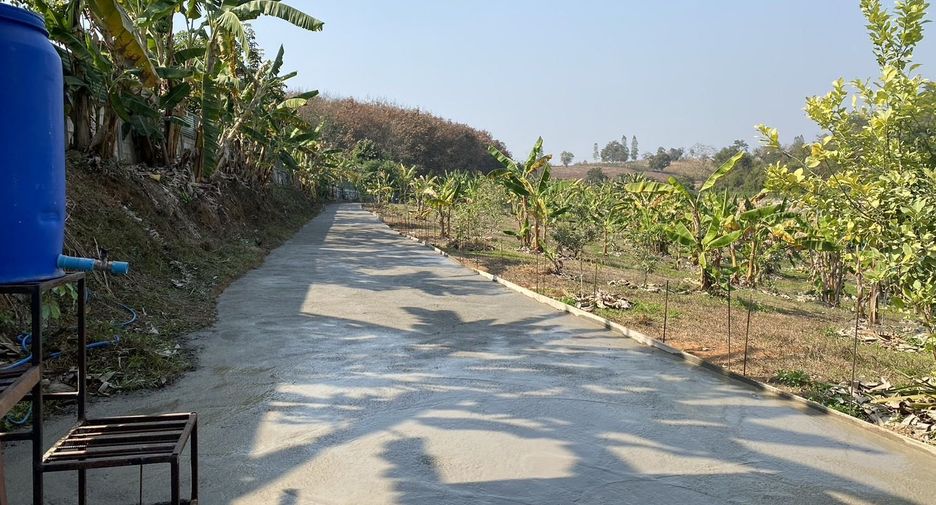 For sale land in Wiang Chiang Rung, Chiang Rai