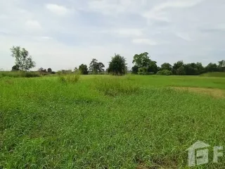 For sale land in Kham Thale So, Nakhon Ratchasima