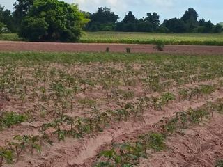For sale land in Kham Thale So, Nakhon Ratchasima