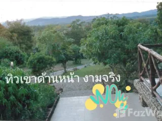 For sale land in Phu Phiang, Nan