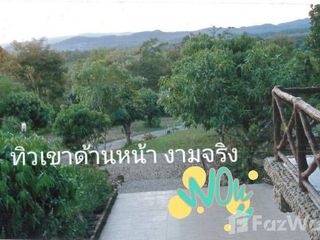 For sale land in Phu Phiang, Nan