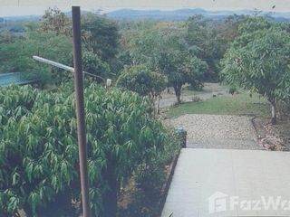 For sale land in Phu Phiang, Nan