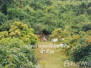 For sale land in Phu Phiang, Nan