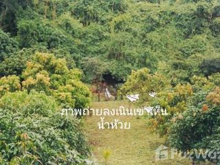 For sale land in Phu Phiang, Nan