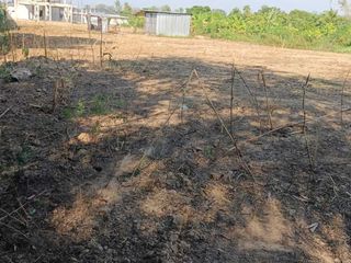 For sale land in Saraphi, Chiang Mai
