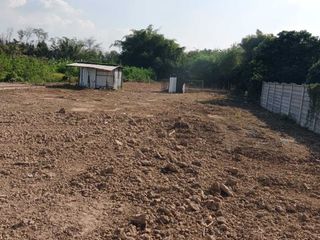 For sale land in Saraphi, Chiang Mai