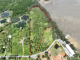 For sale land in Thalang, Phuket
