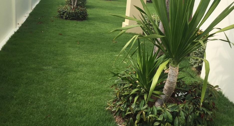 For sale 4 bed house in Sai Noi, Nonthaburi