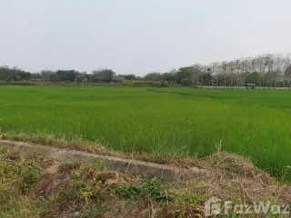 For sale land in Mueang Phayao, Phayao