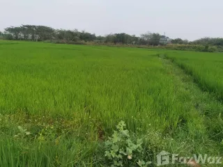 For sale land in Mueang Phayao, Phayao
