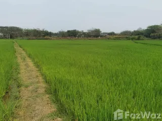 For sale land in Mueang Phayao, Phayao