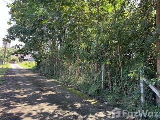 For sale land in Muang Nan, Nan