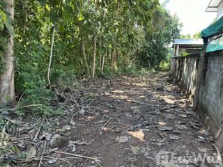 For sale land in Muang Nan, Nan