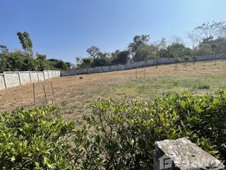 For sale land in Mueang Loei, Loei