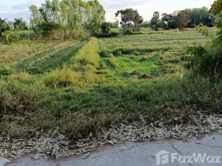 For sale land in Phimai, Nakhon Ratchasima