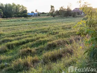 For sale land in Phimai, Nakhon Ratchasima
