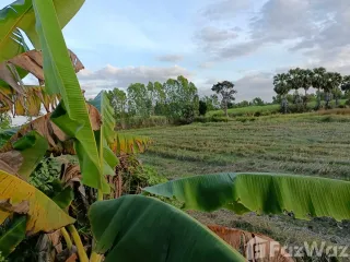 For sale land in Phimai, Nakhon Ratchasima