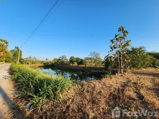 For sale land in Phimai, Nakhon Ratchasima
