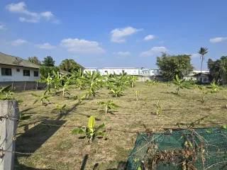 ขาย ที่ดิน ใน เมืองเชียงใหม่, เชียงใหม่