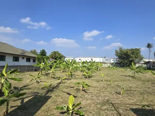 ขาย ที่ดิน ใน เมืองเชียงใหม่, เชียงใหม่
