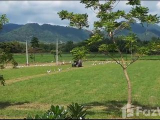 For sale 3 Beds house in Nong Phai, Phetchabun