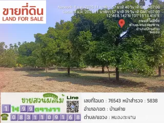 For sale land in Ban Khai, Rayong