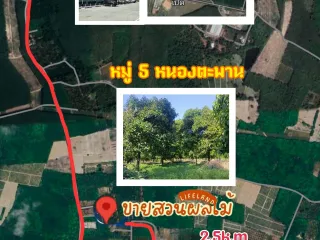 For sale land in Ban Khai, Rayong