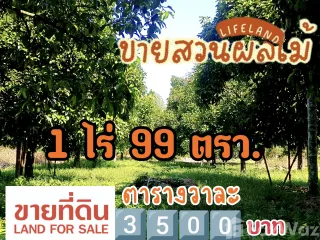 For sale land in Ban Khai, Rayong