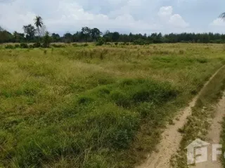 For sale land in Takua Pa, Phang Nga