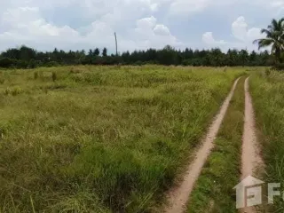 For sale land in Takua Pa, Phang Nga