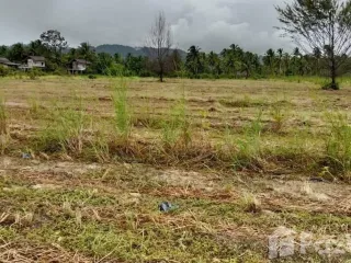 For sale land in Takua Pa, Phang Nga