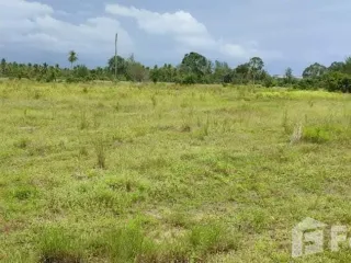 For sale land in Takua Pa, Phang Nga