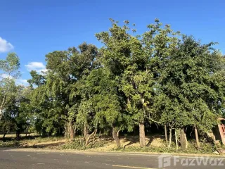 For sale land in Mueang Buriram, Buriram