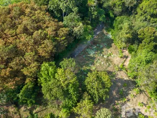 For sale land in Thalang, Phuket