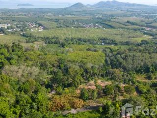 For sale land in Thalang, Phuket