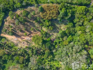 For sale land in Thalang, Phuket