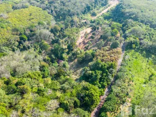 For sale land in Thalang, Phuket