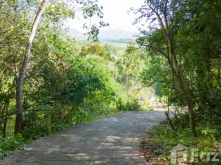 For sale land in Thalang, Phuket