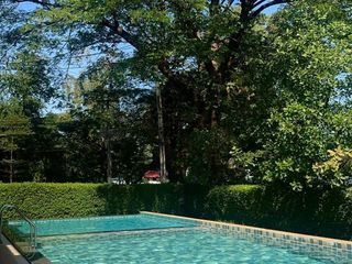 For rent 3 bed house in Saraphi, Chiang Mai