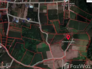 For sale land in Chiang Dao, Chiang Mai