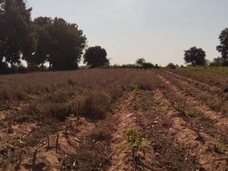 For sale land in Kham Thale So, Nakhon Ratchasima