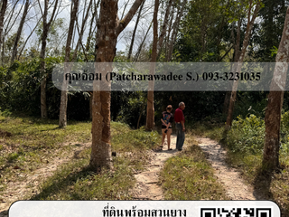 For sale land in Chana, Songkhla