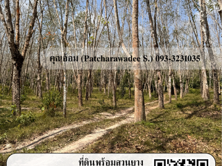 For sale land in Chana, Songkhla