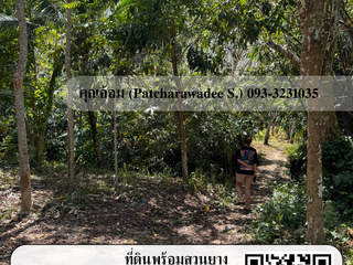 For sale land in Chana, Songkhla