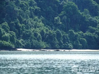 For sale land in Mueang Ranong, Ranong