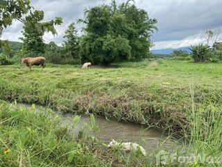 For sale land in Mae Taeng, Chiang Mai