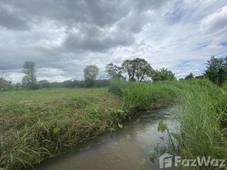 For sale land in Mae Taeng, Chiang Mai