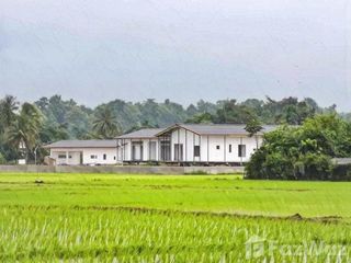 For sale land in Mae Taeng, Chiang Mai